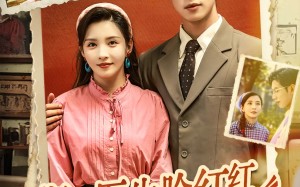 短剧《斯文医生脸红红八零杀猪婆追着哄（66集）》优质短剧免费全集速览