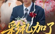 短剧《彩礼加了8万8（54集）》热门短剧在线免费观