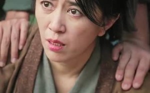 短剧《精忠报国（41集）》短剧免费全集高清畅观