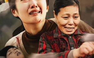 短剧《天下无诈（36集）》优质短剧全集免费观