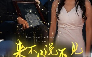 短剧《来不及说再见（30集）》短剧免费高清全集观