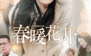 短剧《春暖花开（30集）》短剧全集免费在线追不停