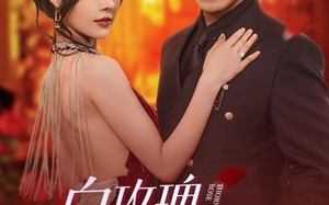 短剧《白玫瑰进阶手册（64集）》免费短剧全集高清畅享