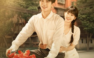 短剧《互为倒影的星（72集）》短剧高清全集免费享