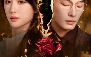 短剧《余生漫漫不相见（30集）》短剧完整版免费畅享