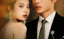 短剧《傅先生夫人又闹离婚了（80集）》免费短剧全集线上赏