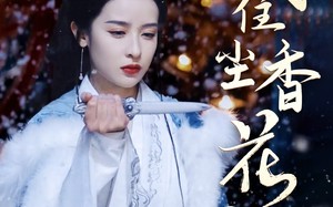 短剧《风住尘香花已尽（36集）》精彩短剧全集免费赏