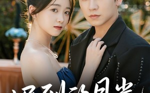 短剧《迟到的月光（80集）》超火短剧免费全集追