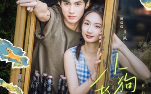 短剧《小狗抓蝴蝶（75集）》精彩短剧全集免费享