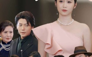 短剧《婆婆寿宴我的老公杀疯了（32集）》短剧全集无广告在线看