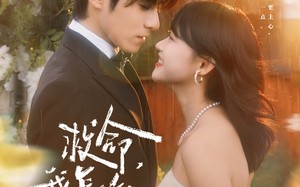 短剧《周总，夫人她不按套路出牌（82集）》短剧高清全集在线观看