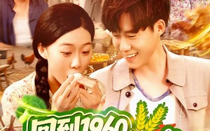 短剧《回到1960，我竟成了农场主（95集）》短剧免费看全集不卡顿