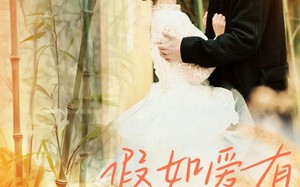 短剧《假如爱有归宿（73集）》超清短剧在线免费追