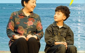 短剧《奶奶的海（31集）》短剧全集免费畅享观看