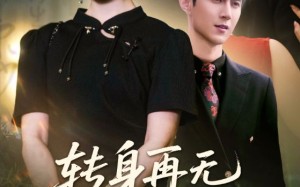 短剧《转身再无手足情（71集）》短剧佳作在线免费品