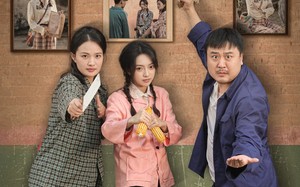 短剧《七零让你调解矛盾全员离婚了（64集）》短剧64集完整版免费