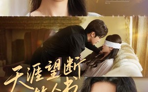 短剧《天涯望断故人书（60集）》热门短剧免费全集观