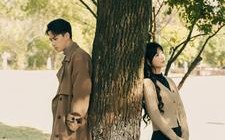 短剧《许你情深深似海（86集）》短剧全集在线免费览