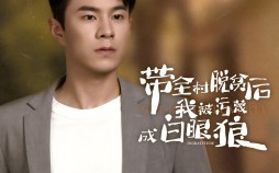 短剧《带全村脱贫后我被污蔑成白眼狼（30集）》短剧全集免费在线追