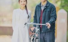 短剧《似火流年（100集）》短剧免费全集在线赏