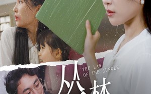 短剧《丛林法则（29集）》热门短剧全集免费观影