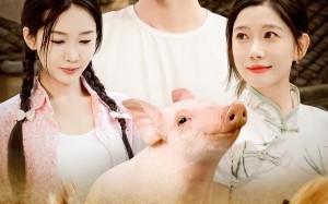 短剧《开局一头猪我在荒年养全家（65集）》免费短剧高清全集观享