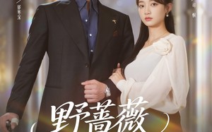 短剧《野蔷薇与绅士杖（78集）》优质短剧全集在线播