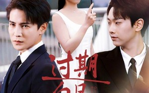 短剧《过期白月光（80集）》热门短剧完整版在线赏