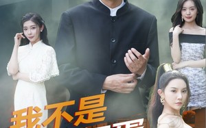 短剧《我不是坏蛋（84集）》超长短剧全集免费播