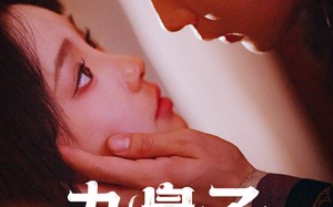短剧《九皇子是女儿身（85集）》热门短剧在线高清播放