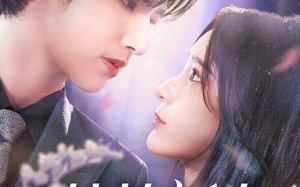 短剧《芷若新生（83集）》短剧免费全集在线品鉴