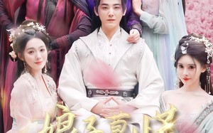 短剧《娘子莫慌其实我有亿点点修为（93集）》精彩短剧全集免费赏