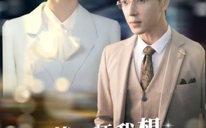 短剧《苏律师我想闪个婚（95集）》超长短剧在线畅享