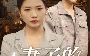 短剧《妻子的伪装（30集）》免费短剧全集无卡顿看