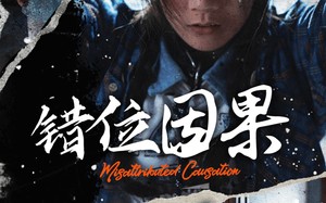 短剧《错位因果（40集）》精彩短剧完整版在线赏