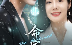 短剧《命定之人（56集）》热门短剧免费畅享全集