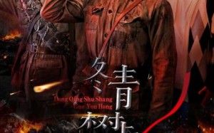 短剧《冬青树上果犹红（9集）》短剧全集免费畅快看