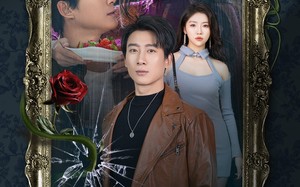 短剧《入了她的局（32集）》免费短剧全集流畅播放