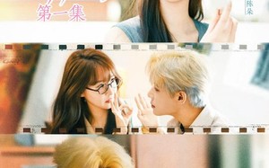 短剧《犬系顶流的驯养法则（16集）》热门短剧在线畅享