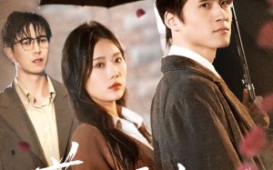 短剧《情敌交手她选择躺赢（72集）》短剧超全剧集免费畅享