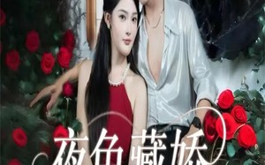 短剧《夜色藏娇（65集）》短剧全集免费任你瞧