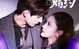 短剧《夜莺的赌约（71集）》优质短剧全集在线追看