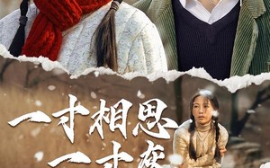 短剧《一寸相思一寸灰（43集）》精彩短剧免费全集速览