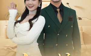 短剧《白天鹅（72集）》短剧全集免费畅享看