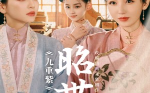 短剧《昭世录（28集）》短剧在线免费全集追