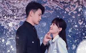 短剧《隐婚后，她成了豪门萌宝的亲妈（69集）》精彩短剧免费在线追