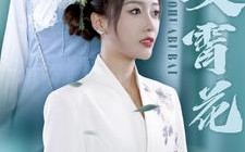 短剧《不败凌霄花（78集）》全网独播短剧免费看