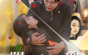 短剧《阴谋与玫瑰（31集）》免费短剧全集随心看