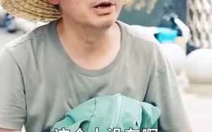 短剧《这老大我不当了好好学习天天向上$黑道老大（72集）》短剧全集高清在线畅享