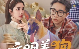 短剧《文明养狗人人有责（44集）》热门短剧全集免费看